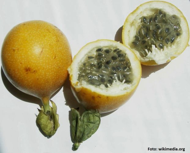 Granadilla