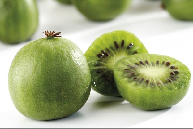 Un kiwi nada más levantarnos