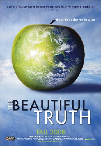 The beautiful truth  (2008)