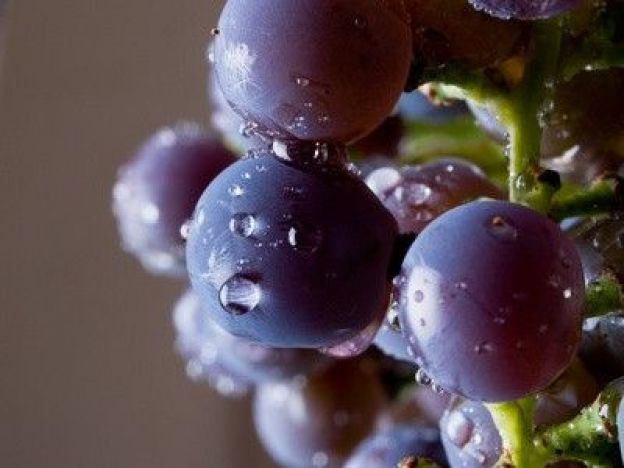 7) Cómo refrescar la bebida sin hielo