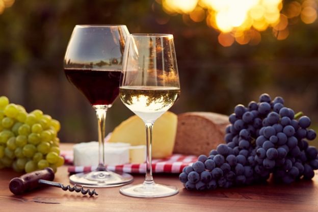 Alimentos que no sabías que eran probióticos: vino